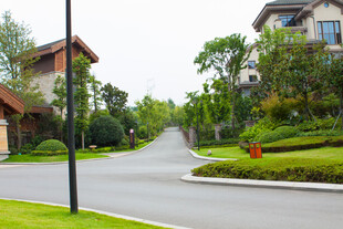优雅静谧的社区道路景观