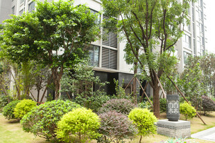 小区内精致绿植景观