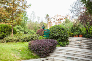 园林景观中的小径与绿植