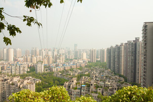城市高楼与绿植景观