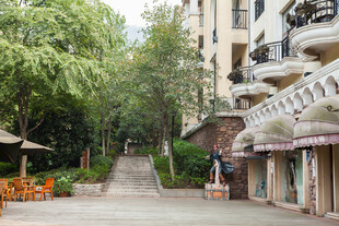 宁静街道旁的惬意休闲场景