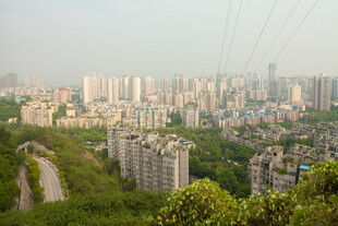 城市与绿植相映的景致