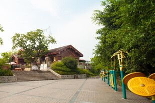 社区中的休闲游乐场景