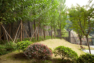 庭院绿植景观