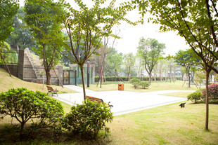 城市中的静谧公园景观