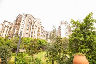 小区景观中的高层住宅楼