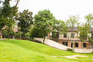 绿意盎然的校园景观角落