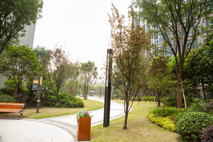 城市公园静谧步道景观