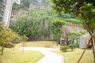 宁静庭院景观
