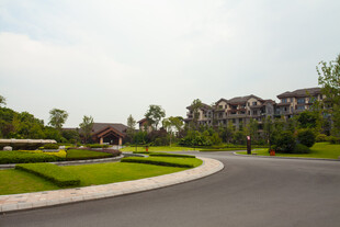 优雅住宅区景观道路