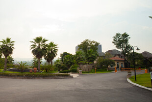 宁静优美的户外景观道路