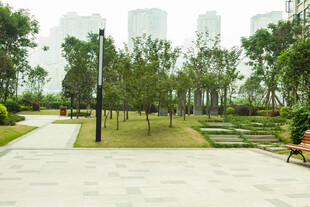 城市中的静谧公园小径