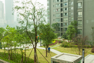 小区绿意盎然的休闲景观