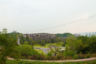 荒废建筑被绿植环绕