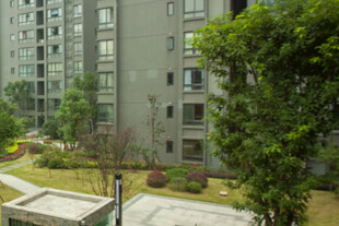 现代小区绿化景观