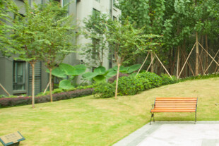 庭院绿植与休闲长椅景观