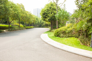 蜿蜒林间路 绿意盎然