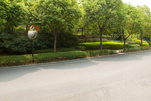 绿树环绕的宁静道路