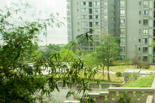 城市住宅区旁的绿植景观