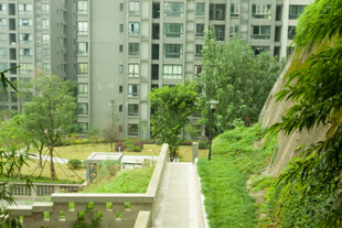 小区内的绿植景观与步道