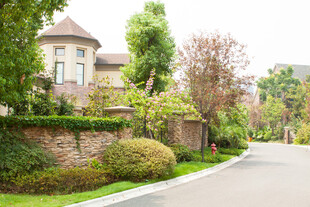 豪华别墅旁的绿意街道