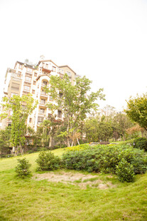 小区绿化景观