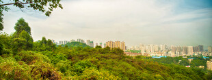 山林间远眺城市景观