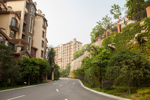 宁静街道旁的绿植与建筑