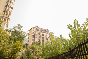 城市中绿树环绕的住宅楼