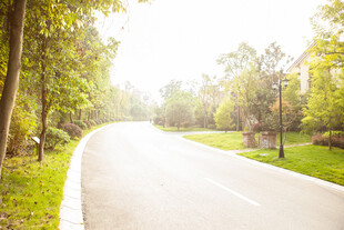 林间蜿蜒公路 自然美景