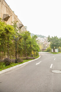 宁静街道旁绿植环绕风景