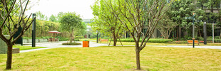 公园绿树草地休闲场景