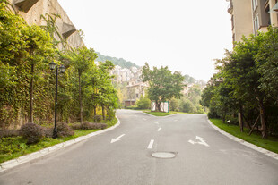 宁静小区内的宽阔林荫道路