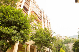 绿树环绕的多层住宅建筑