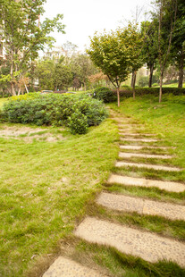 林间石板小径 绿意盎然