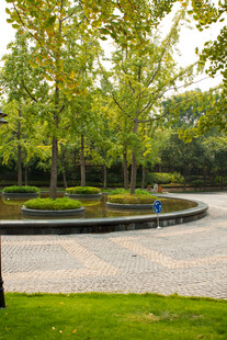 城市中的环形绿植景观区