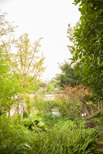 绿意盎然的户外自然景致