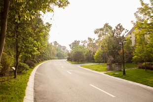 林间蜿蜒公路 绿意盎然