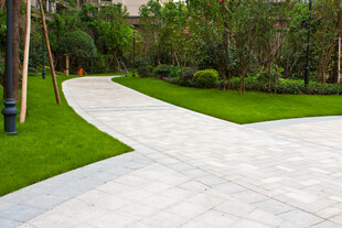 园林中蜿蜒的石板小径