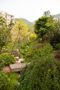 绿意盎然的园林景观