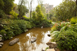 溪边绿意盎然的自然景致