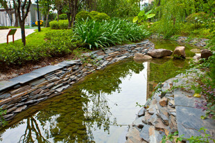 自然景观中的清幽溪边景致