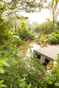 林间溪边木栈道自然景致
