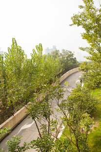 林间静谧公路 绿意环绕