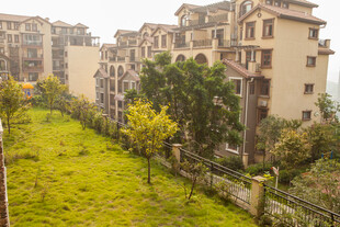 小区景观 绿植环绕的住宅