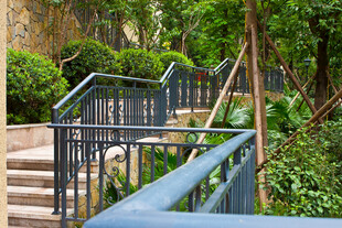 户外绿植环绕的精致楼梯