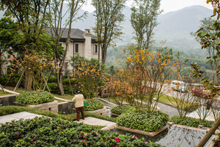 精致园林景观 绿意盎然