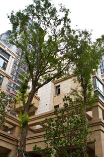 城市中葱郁的树木与建筑