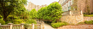 庭院绿植景观