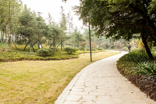 公园蜿蜒小径与绿植景观